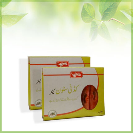 Kidney Stone KARE Capsules